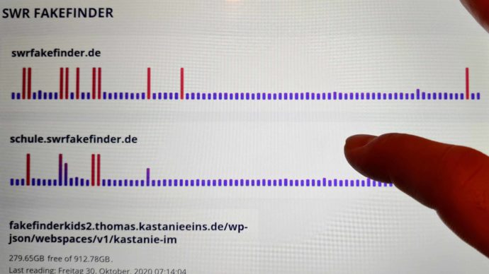 Webseiten-Monitoring mit Stasi
